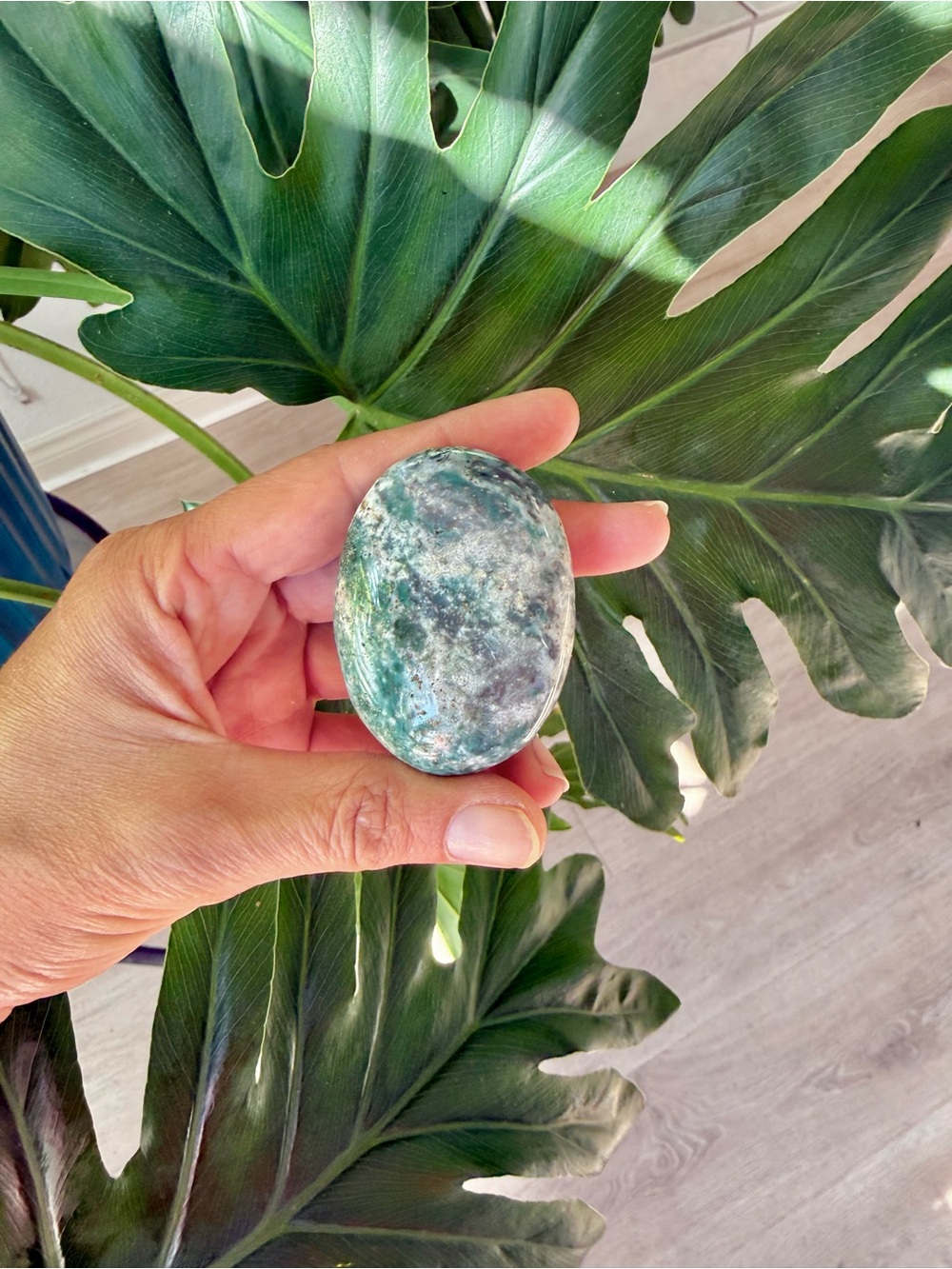 Ocean Jasper Palmstone from Madagascar